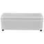Banc de rangement à couvercle rabattable Miles-182170552-223099693