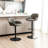 Thibodeaux Swivel Adjustable Height Bar Stool-11136256