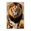  Tapis lavable de lion d'Afrique-1065265681