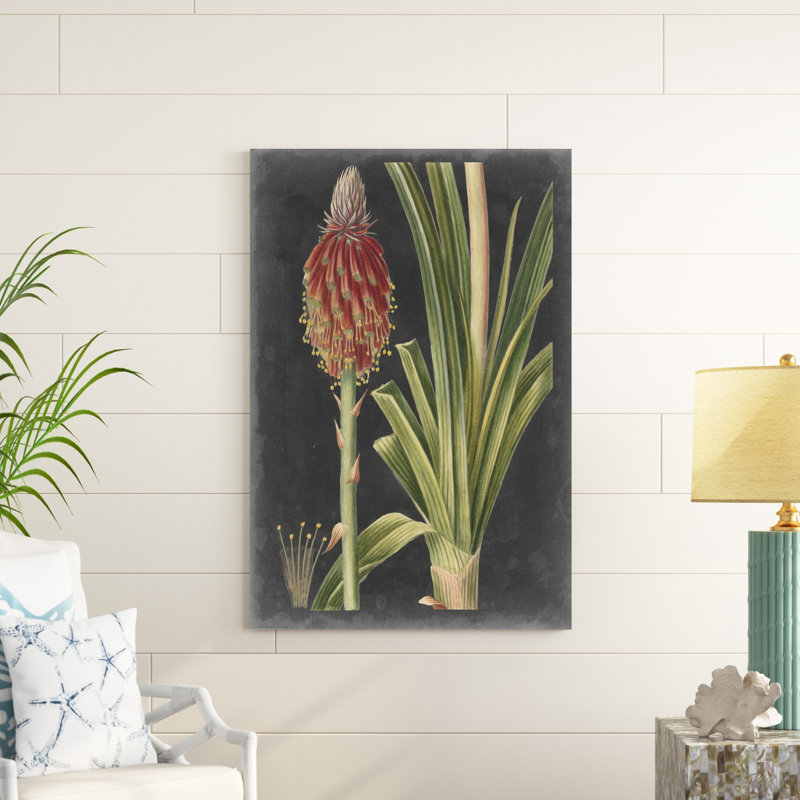 Dramatic Tropicals IV, H 48 po x l 32 po x P 1,25 po