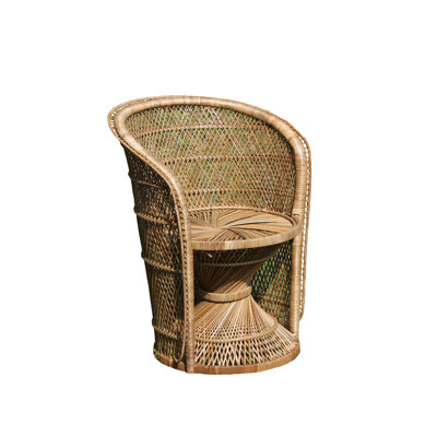 Romulus 25" Wide Barell Chair by Bayou Breeze