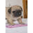 Pug Mopping the Floor
