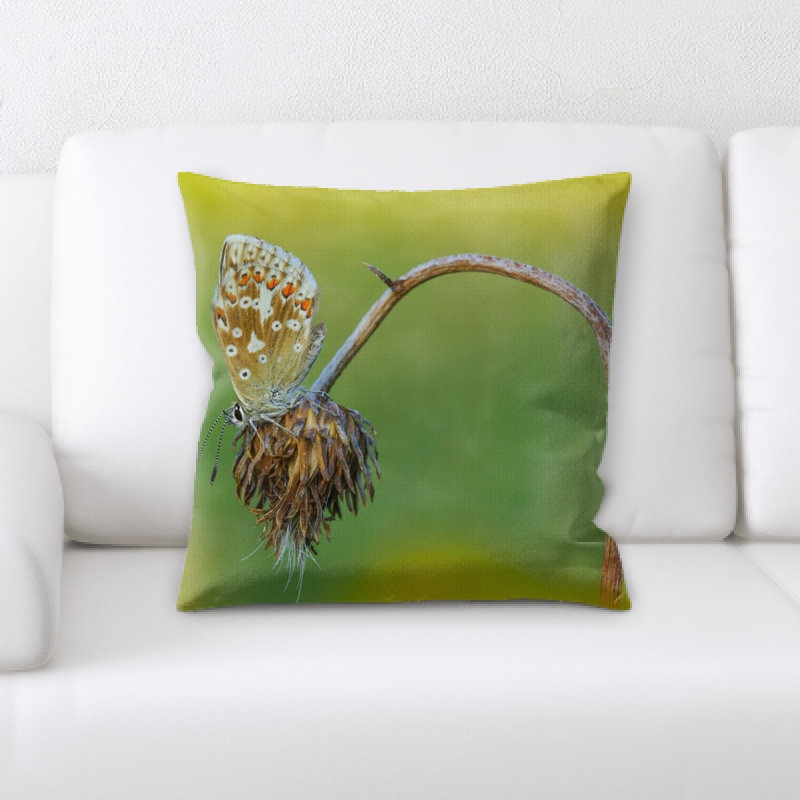 Coussin décoratif papillon