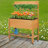 Elevated Garden Raised Bed Solid Wood Planter Flower Herb Boxes