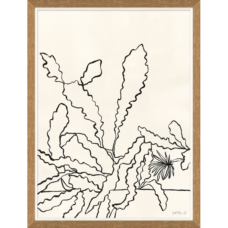 Sedum Giclee Print by Susan Hable