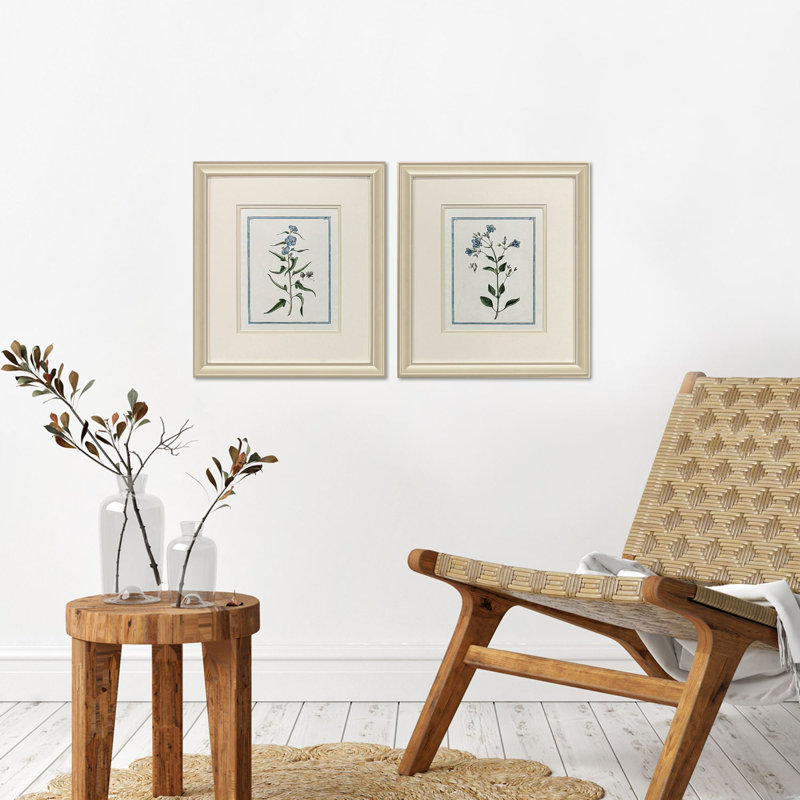 Shabby Elegance Botanical Framed Art
