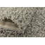 Tapis gris à poils longs Santosha-749810376-749811095