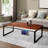 Solid Wood Top Single Coffee Table
