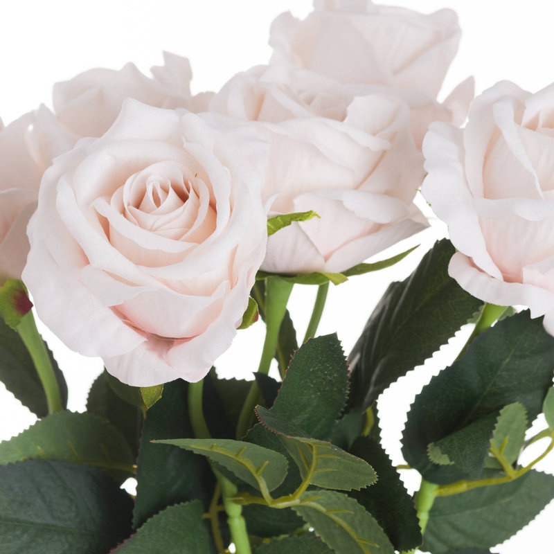 Anastasija Arrangement