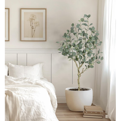 Eucalyptus Tree Artificial With Silver Dollar Leaves