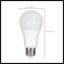White LED Bulb-25605835-25605840