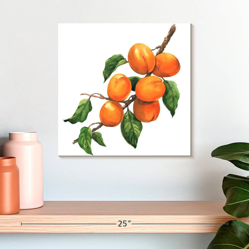 Abricots mûres Yarlin, H 16 po x l 16 po