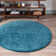 Indoor Rug