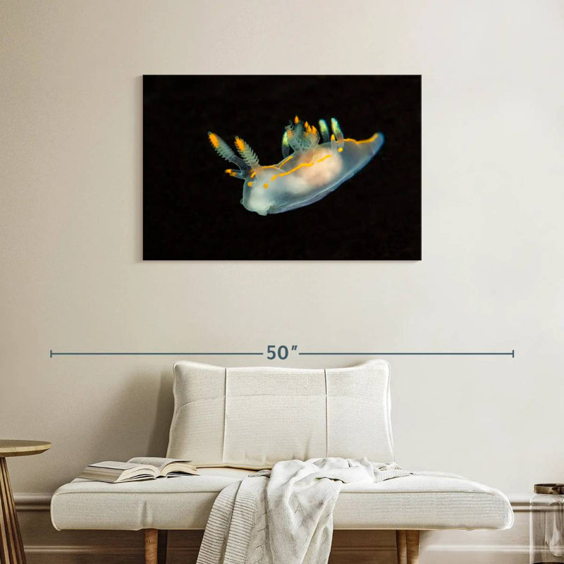 Limace de mer dans les eaux sombres