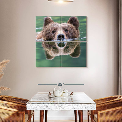 Brampt Grizzly Bear Swimming Reflection