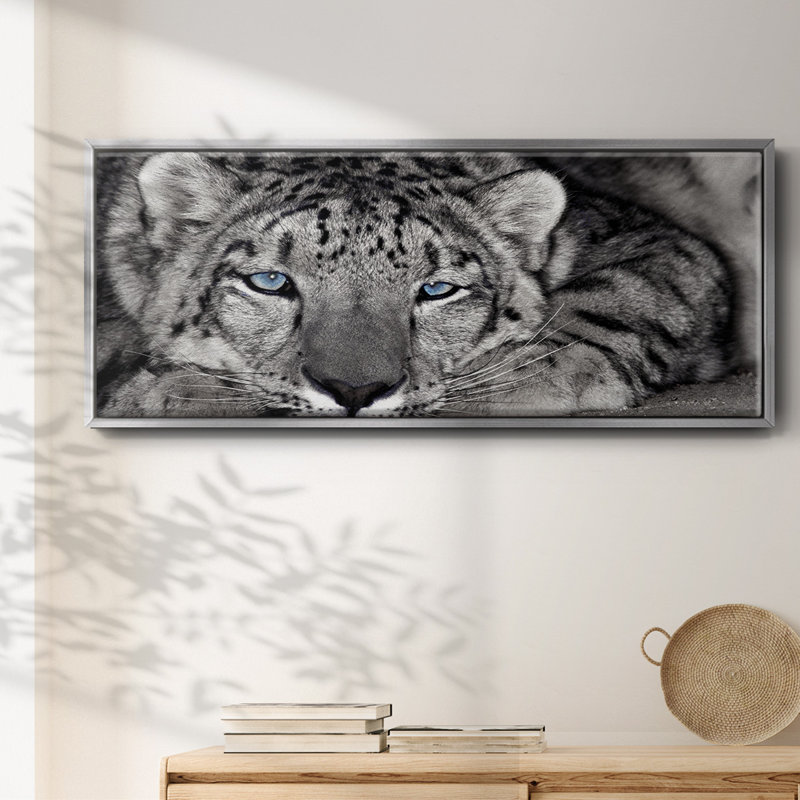Snow Leopard Sanctuary- Framed Canvas, 24" H x 60" W