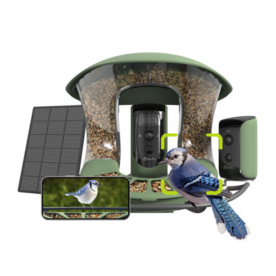 Mangeoire d'oiseaux intelligente à double caméra Birdfy
