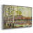 Birch Stand " Birch Stand "-1218141334-1218141329