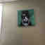 Photos des clients 1 de 1