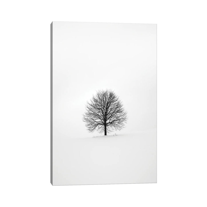 Solitary I by Design Fabrikken - Wrapped Canvas Print, 20.32 cm H x 30.48 cm W