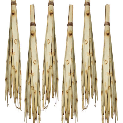 Sun Palm Leaves Raffia  Set of 6  39.5"  Burnt