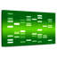 ADN vert-2077746643
