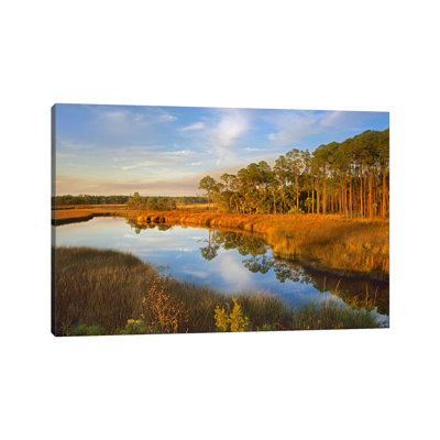 Lake Near Apalachicola, Florida by Tim Fitzharris - Wrapped Canvas Print