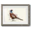 Pheasant Splash 5 - reproduction d'un seul cadre photo-1946987694-1946987684