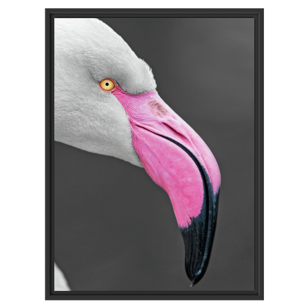 Gerahmtes Wandbild FlamingoSeitenprofil