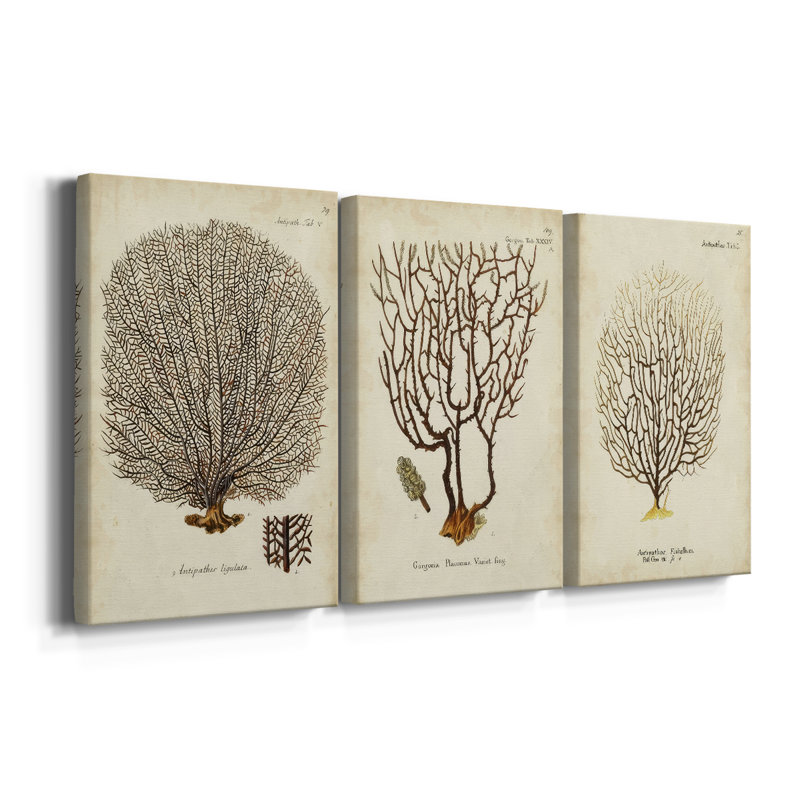 Esper Sea Fans I - Toile tendue avec châssis sur mesure - 3 pièces, H 48 po x l 96 po