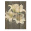 Perle pureté fleur nature morte - panneau de fleurs en bois sur bois de pin naturel-1194234633
