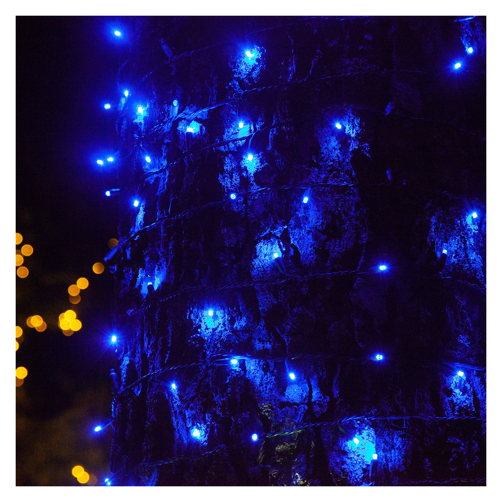 204" SoftTwinkle LED String Lights, Blue