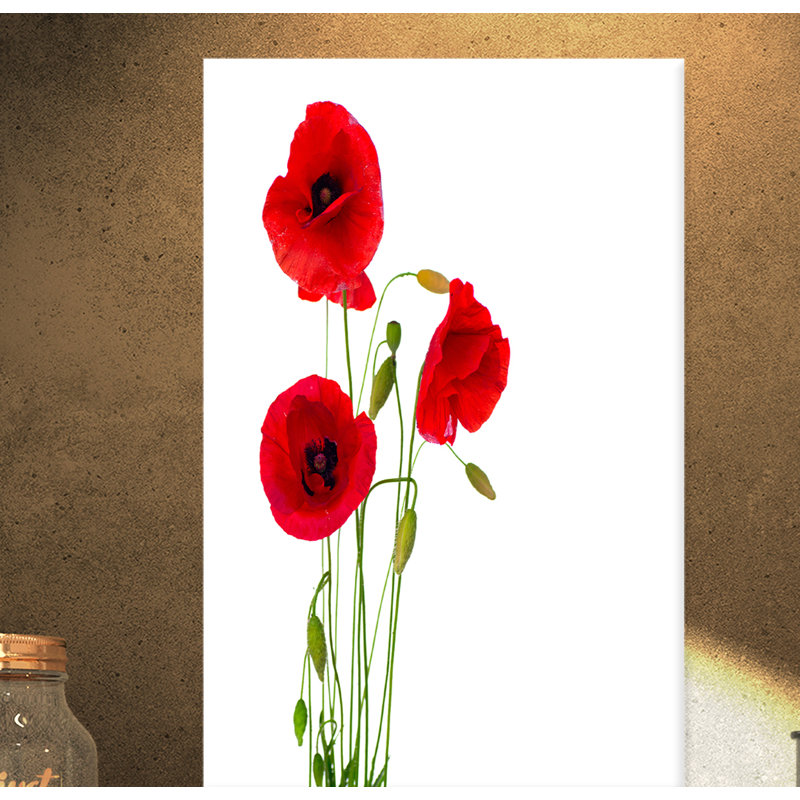 «Isolé rouge coquelicot», impression, H 40 po x l 30 po x P 1 po, Toile tendue