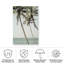 Rouleau de soleil bolologien sur toile-98096074