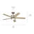 Bhram 48'' Ceiling Fan with LED Lights-82941948