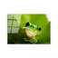 Boze Wall Decor