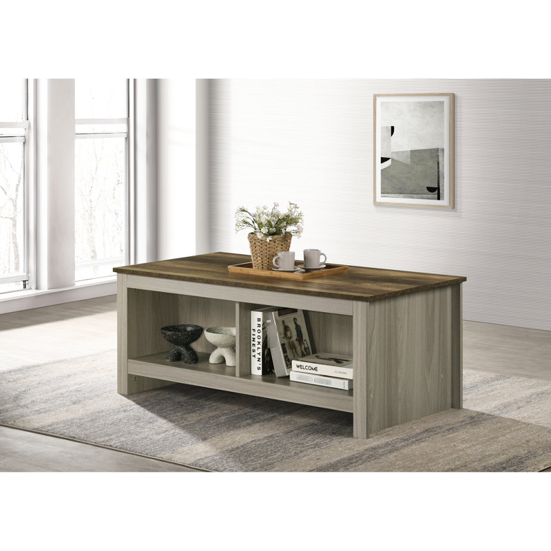 Table basse contemporaine en chêne gris avec tablettes ouvertes doubles et plateau élégant avec deux tablettes l 43 po