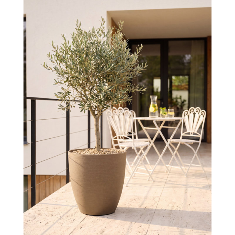Pot Planter