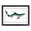 Blue Shark by M.E. Bloch - Picture Frame Painting Print-55544390-55544392