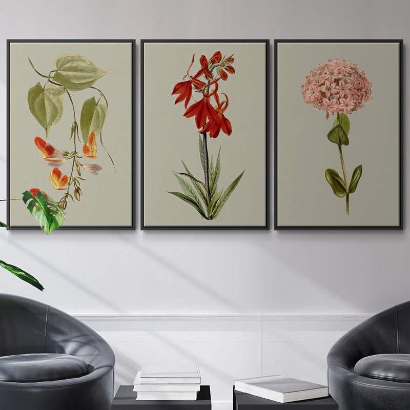 Botanical Array IV - Ensemble de 3 cadres photo sur toile, Noir, H 27 po x l 54 po