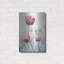 «Pink and White Tulips», art mural en métal, 16 po x 24 po-1158952135