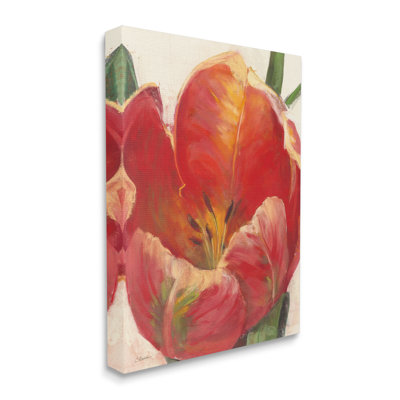 Doux tulipe rouge doux à gros plan floral