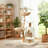 48" Tall Wooden Cat Tree