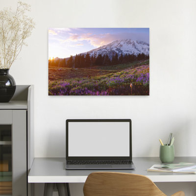 Fleurs sauvages au coucher du soleil près du mont Rainier, Washington, paysage contemporain abstrait, art de montagne