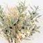 Branche d'eucalyptus artificiel 36 po 36 po