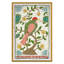 Pink Throated Thrush Print by Dana Gibson-459717370-459717318