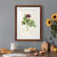 «Pretty Botanicals III», cadre photo-1776683586-1776683587