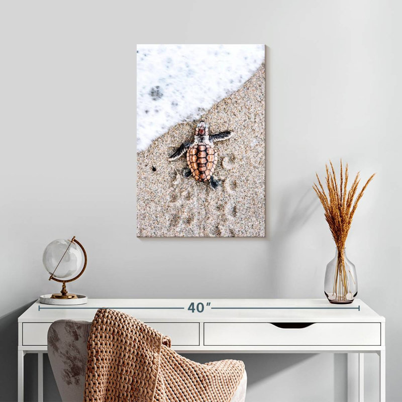 Bébé tortue de plage, H 24 po x l 16 po