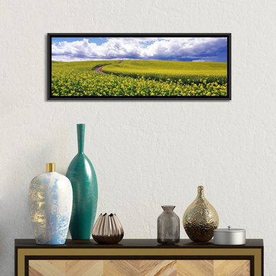 " RoadCanola Field, Washington State, USA " by Panoramic Images