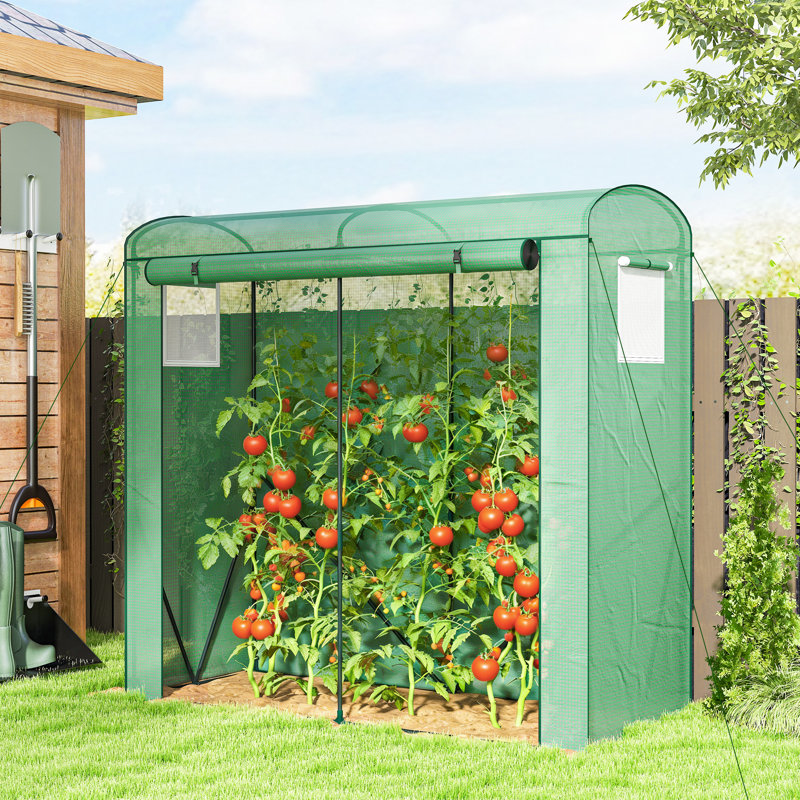 Mini Greenhouse, Portable Greenhouse with Roll-Up Door and 2 Mesh Windows, Small Green House with PE Cover for Garden Patio Lawn, 78.7" x 29.5" x 74", White
